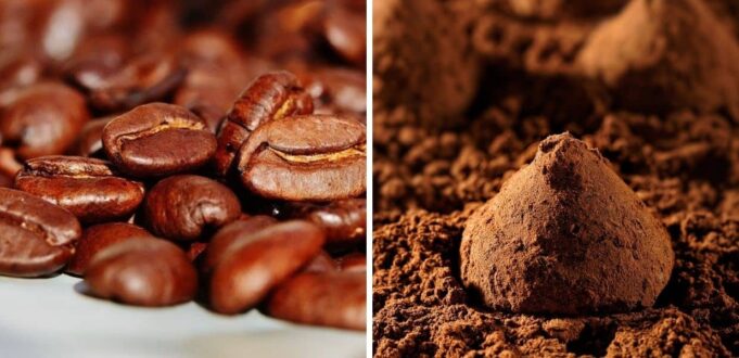 caffè cacao rischio crisi climatica