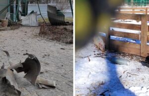 ucraina morti dipendenti feldman ecopark kharkiv