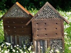 Arriva a Empoli il primo hotel per api