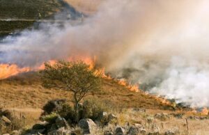 Sardegna, a giugno parte la "Campagna antincendio boschivo 2022"
