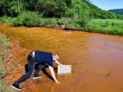 Slovacchia, i pesci muoiono soffocati nel fiume Slana arancione per l'inquinamento