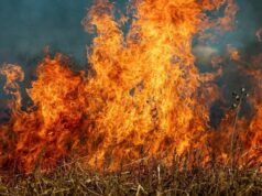 Arrivano i primi incendi dolosi in Sardegna