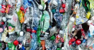 OCSE: "Entro il 2060 triplicherà l'inquinamento da plastica"