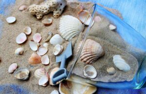 Conchiglie e sabbia in valigia: multa di 3.000 euro per dieci turisti in Sardegna
