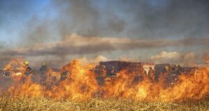 Caldo record e siccità: aumenta il rischio di incendi in Sardegna