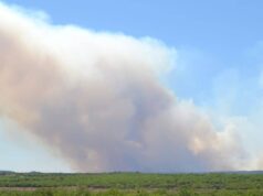 La Sardegna continua a bruciare: 1.000 ettari di campagne in fumo solo a giugno