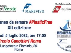 Mediterraneo da remare #PlasticFree: al via la XII edizione dal Circolo Canottieri di Roma