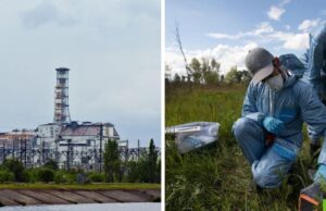 hernobyl radiazioni greenpeace