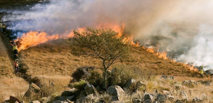 Sardegna, appicca un incendio: arrestato piromane