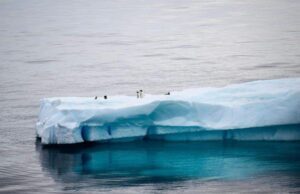 Sempre meno ghiaccio in Antartide: 7% sotto la media degli ultimi 44 anni