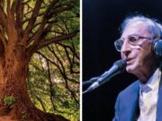 40 anni fa Franco Battiato annullò un concerto in Sardegna per salvare un bosco secolare