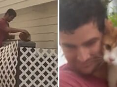 Florida, ragazzo salva gatto infreddolito durante il passaggio dell'uragano Ian